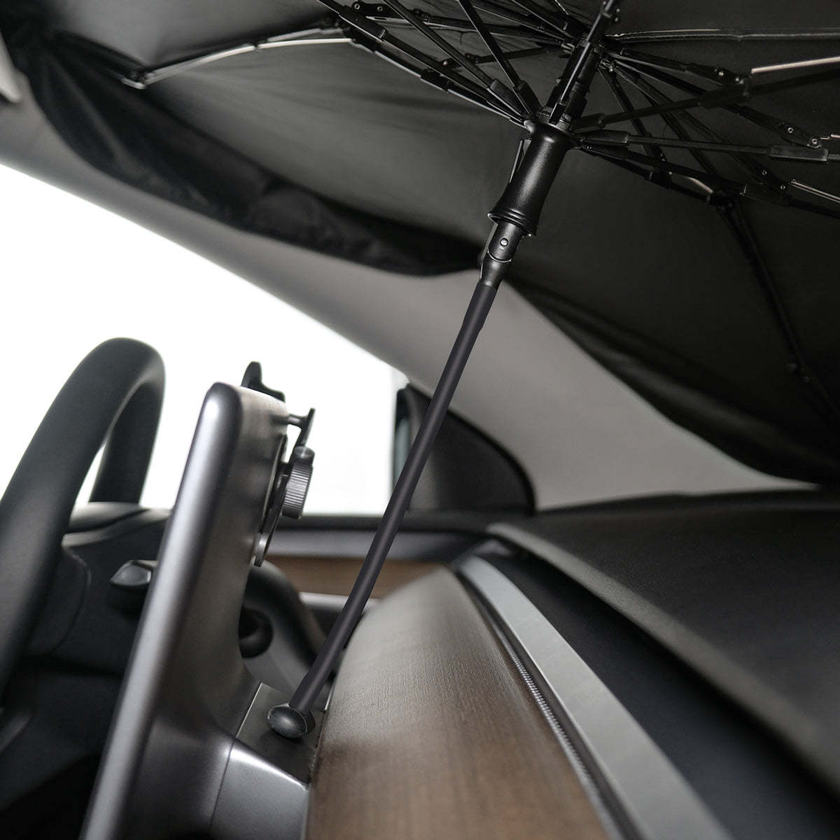 TaddonWindshield Sunshade Umbrella
