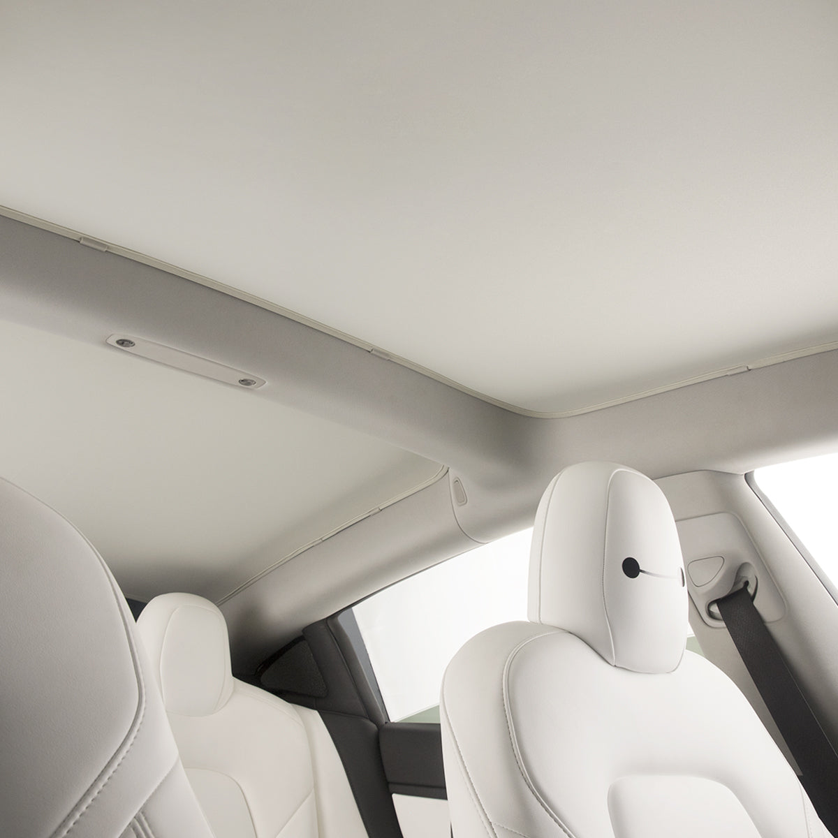 TaddonGlass Roof Sunshade for Tesla Model 3 & Model Y