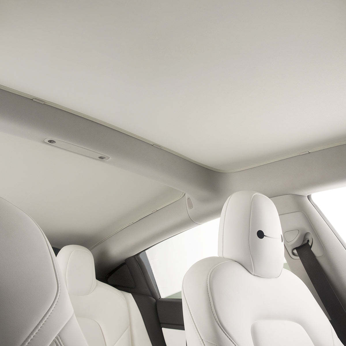 TaddonGlass Roof Sunshade for Tesla Model 3 & Model Y