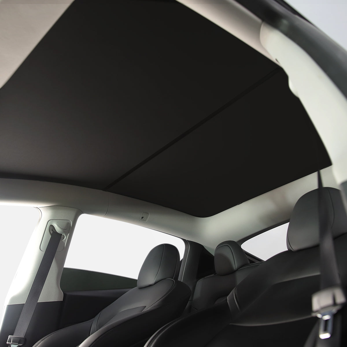 TaddonGlass Roof Sunshade for Tesla Model 3 & Model Y