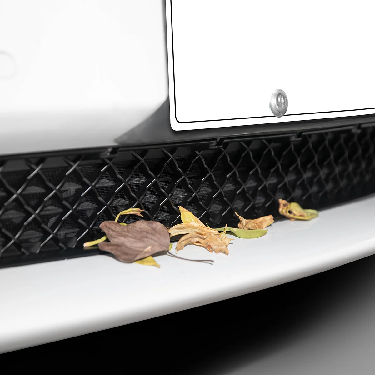 Front Grille Mesh Radiator Cover Guard for Model 3/Y