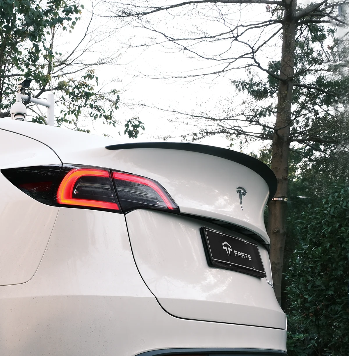 Real Carbon Fiber Performance Spoiler for Model 3/Y