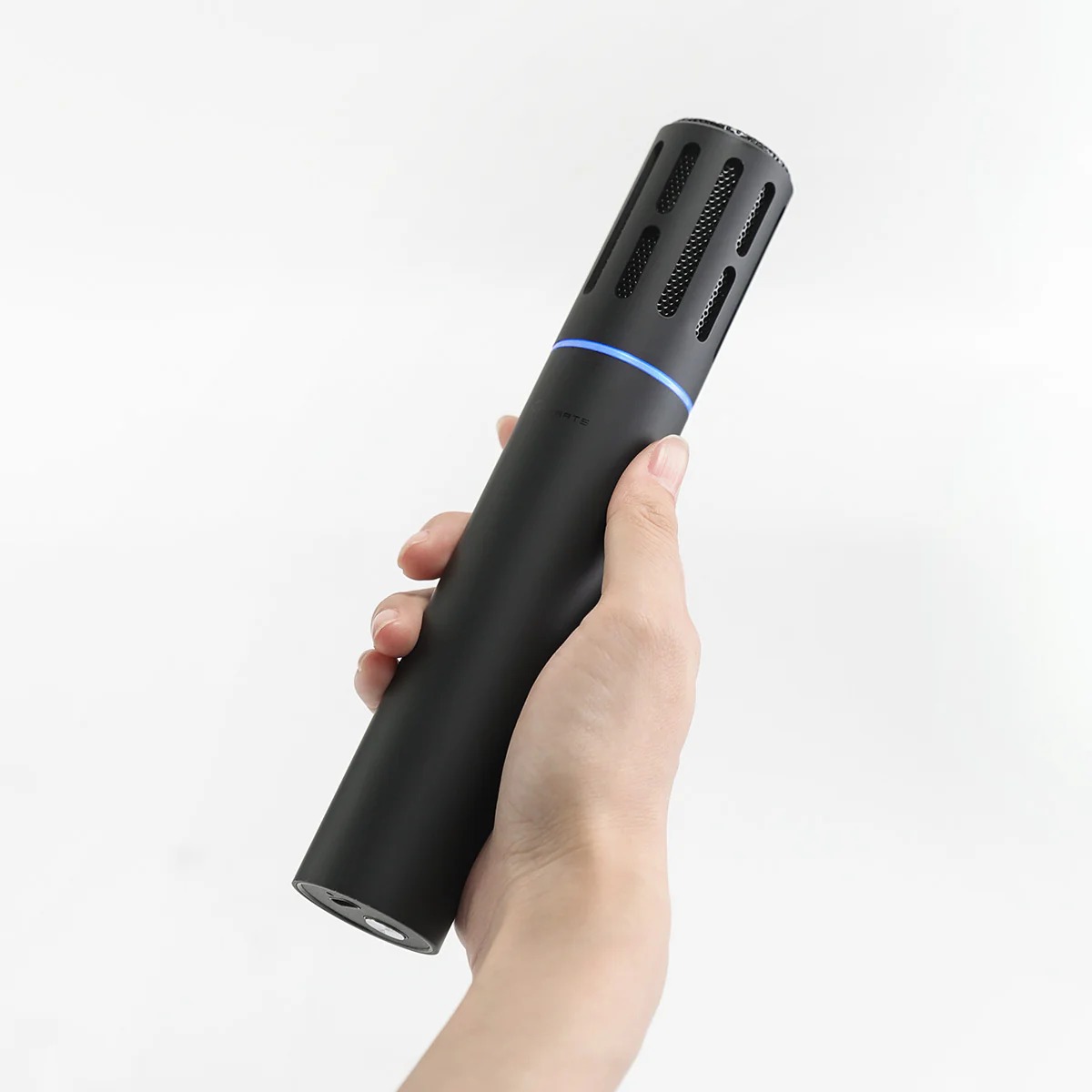 Wireless Karaok Microphone for Tesla (Set of Two)