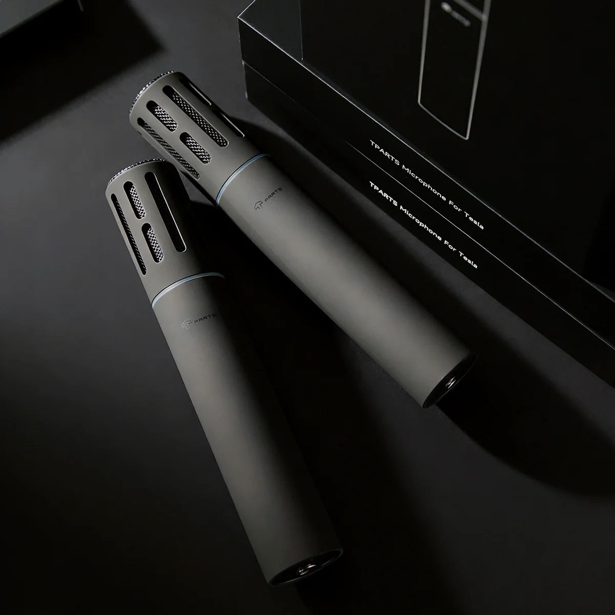 Wireless Karaok Microphone for Tesla (Set of Two)