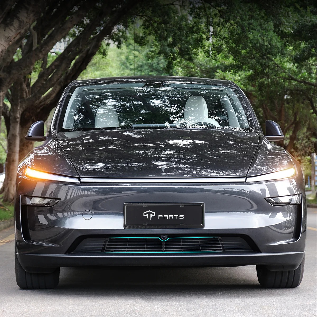 Front Grille Mesh Radiator Cover for Model Y (Dual Section)