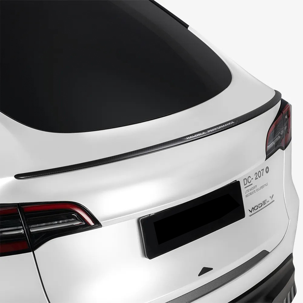 TaddonCarbon Fiber Spoiler For Tesla Model 3/Y