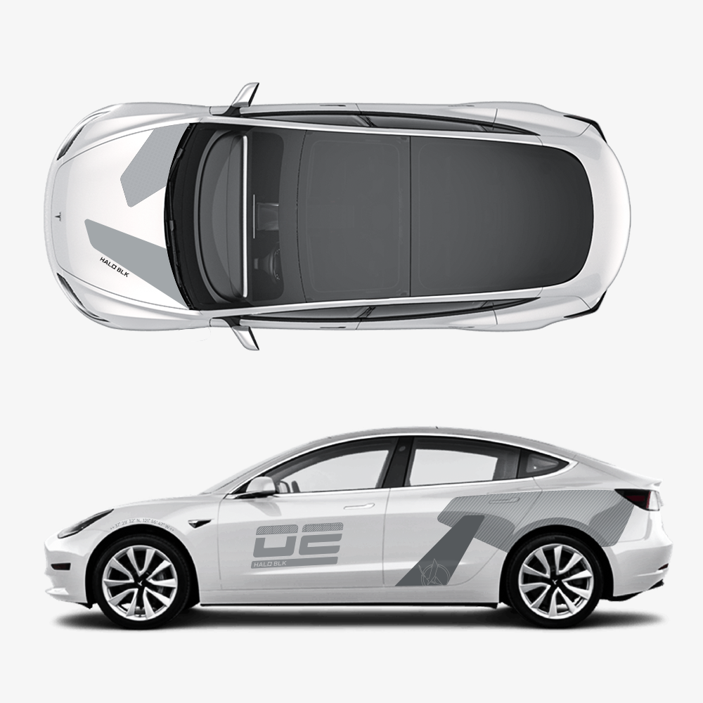 TaddonCustom Livery Sticker For Tesla Model 3/Y/S