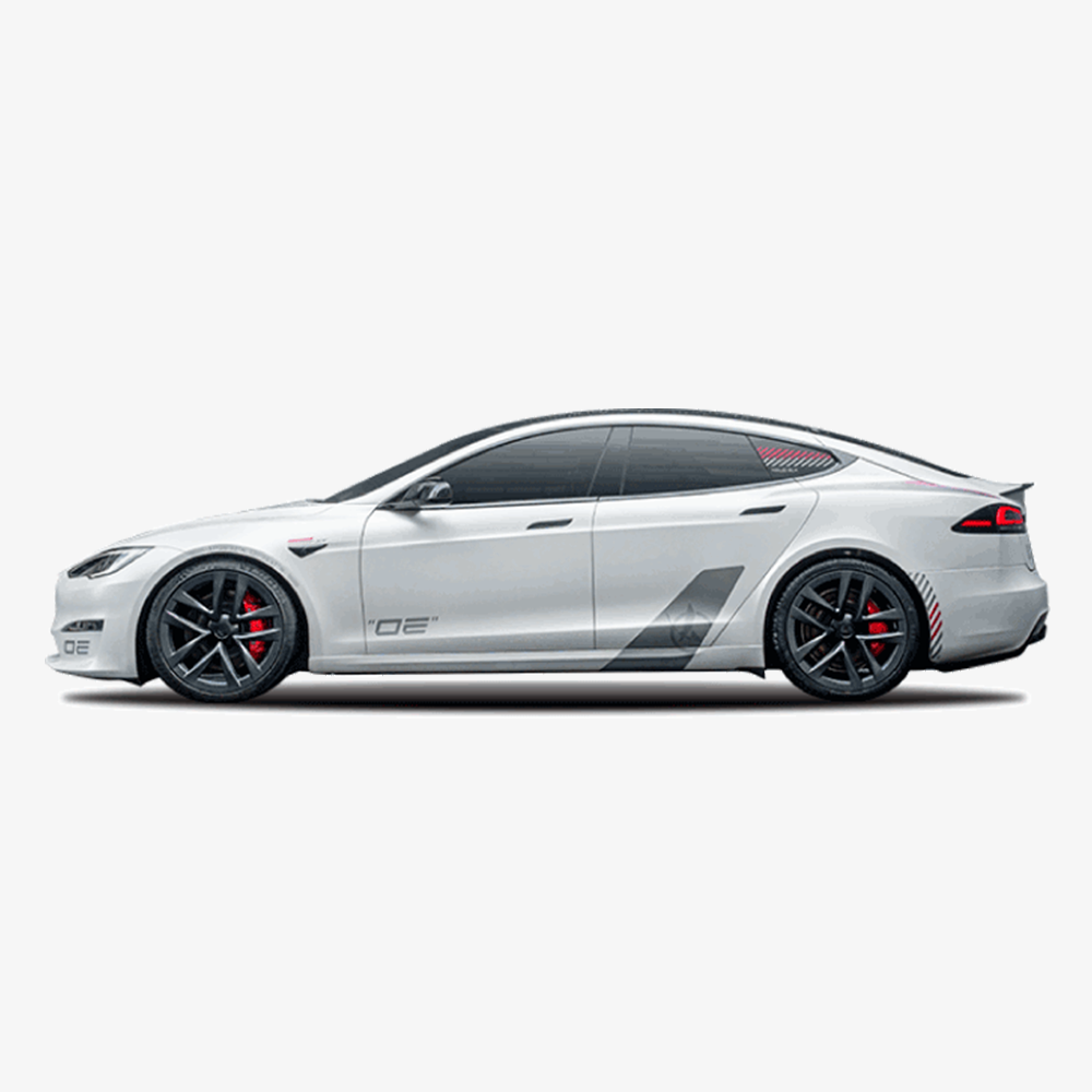 TaddonCustom Livery Sticker For Tesla Model 3/Y/S