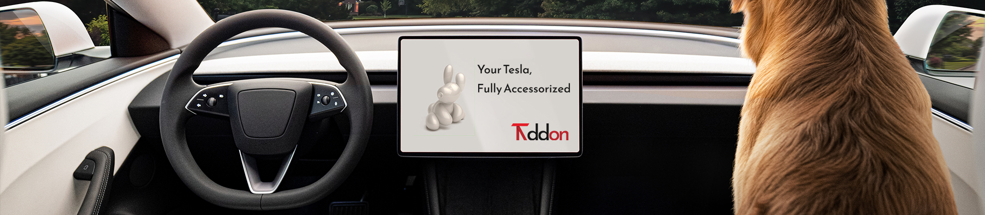 Model 3 Interior Accessories