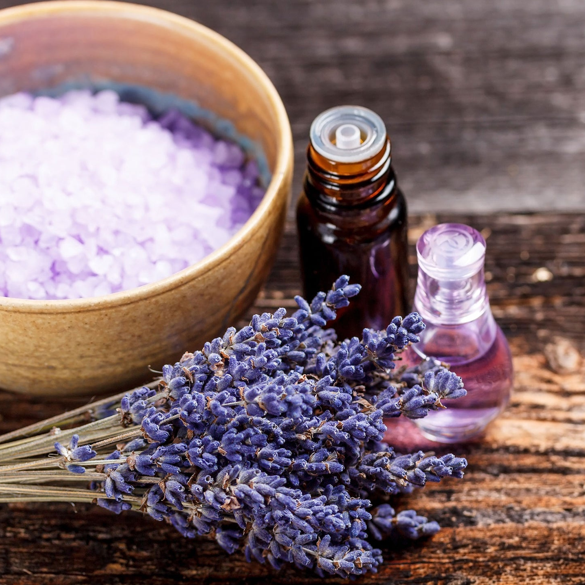 Lavender Seeds - Packet / Bulk-Plantjoyfarm-Flower Seeds