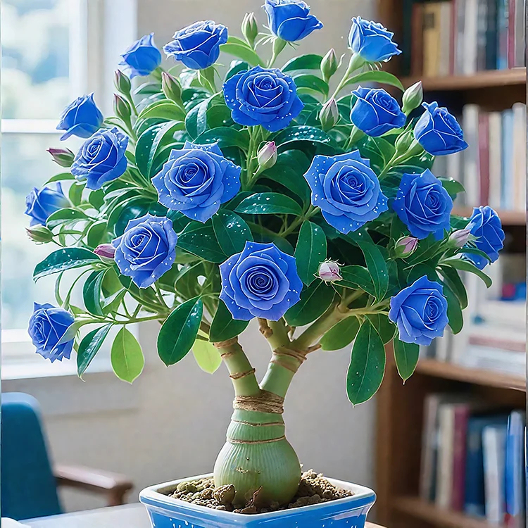 🌵 Bulbes de Rose du Désert - Une Perle Exotique pour Votre Jardin🌸