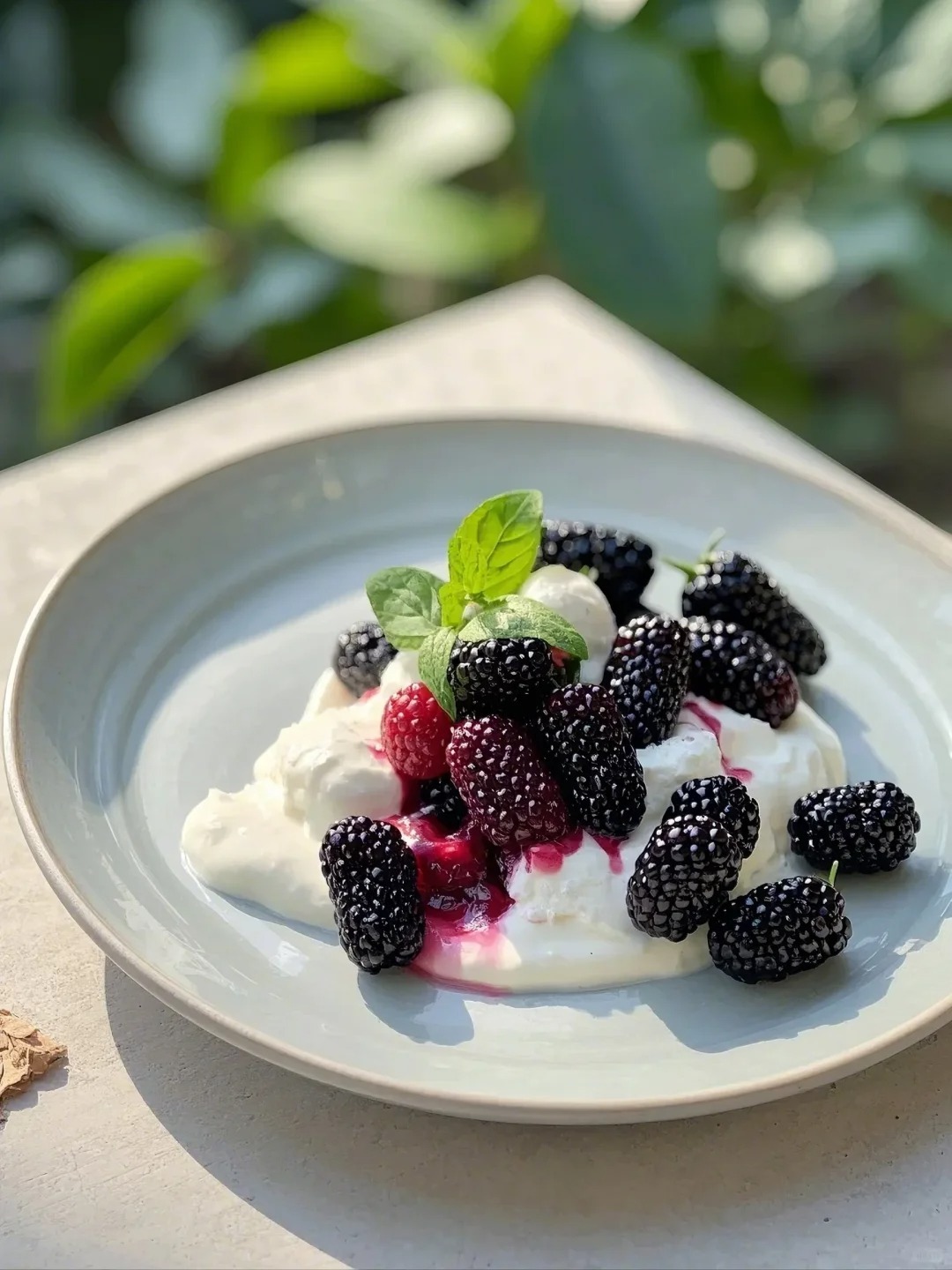 50% OFF🍇 Graines de Mûres Sweet Giant 🌿