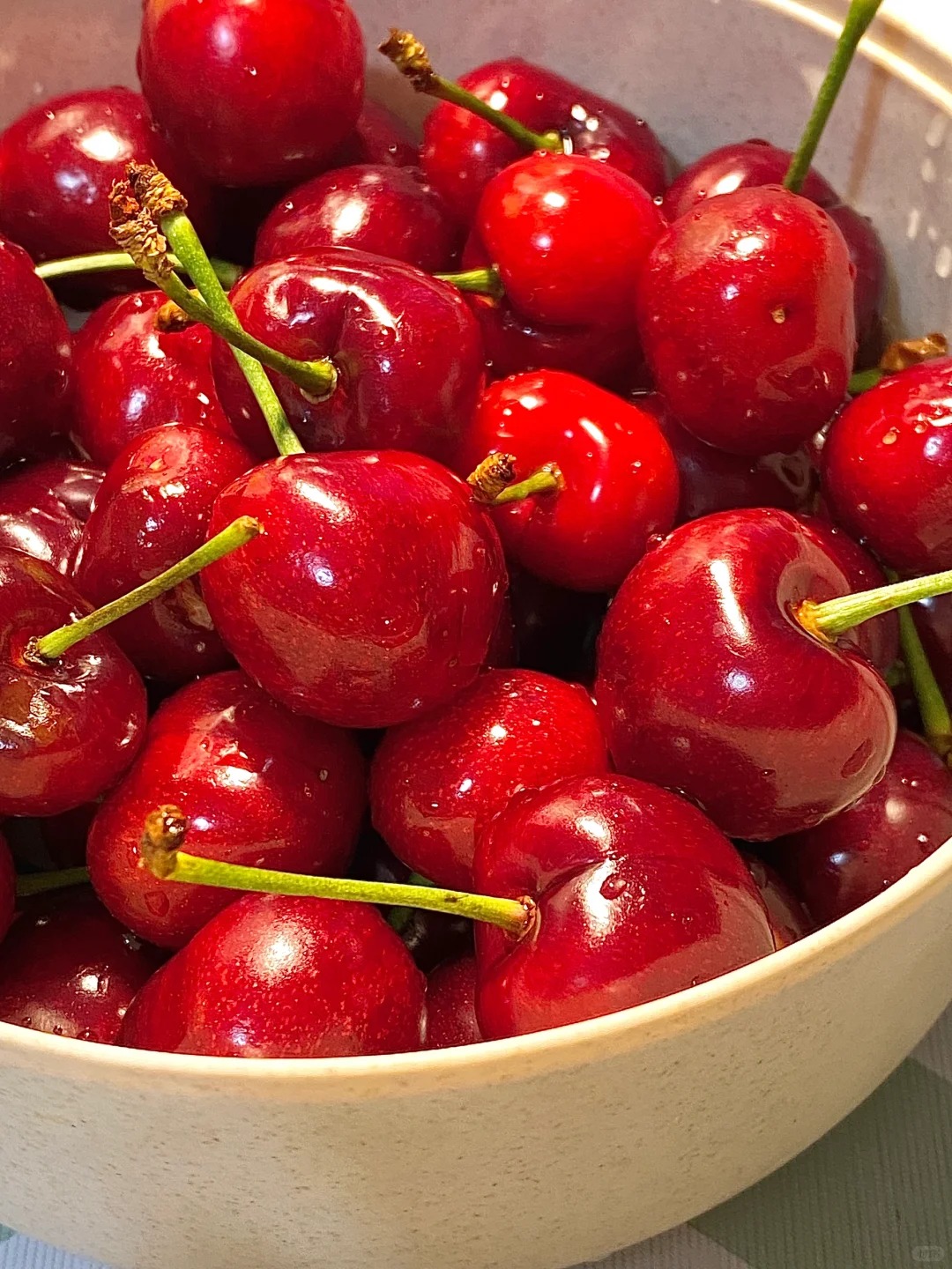 🍒 Graines de Cerisier - Votre Verger Gourmand à la Maison