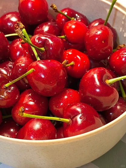 🍒 Graines de Cerisier - Votre Verger Gourmand à la Maison