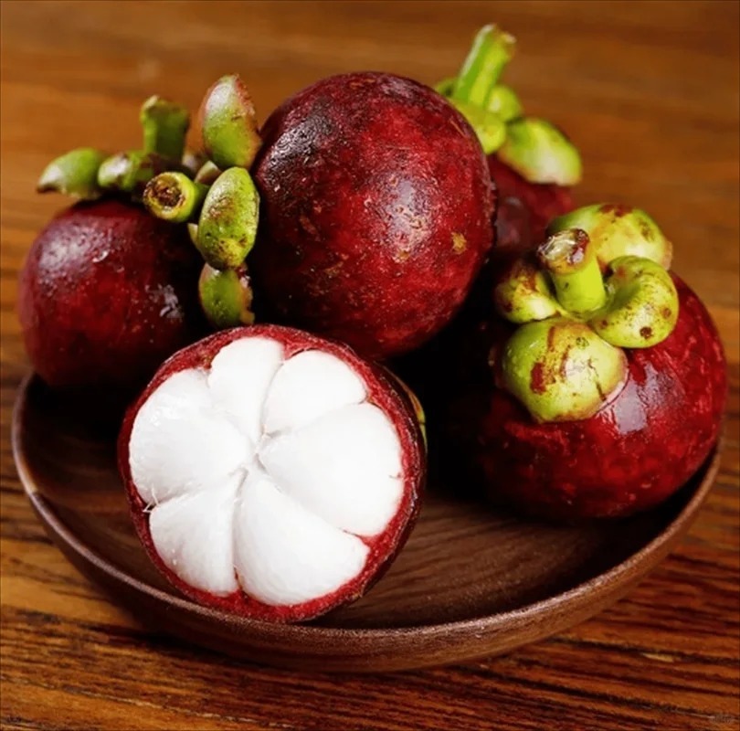 "Fruit des Dieux à Cultiver : Graines de Mangoustan Fraîches (Récolte 2025) - Livraison Express"