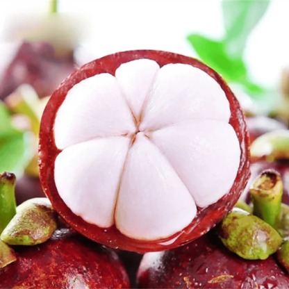 "Fruit des Dieux à Cultiver : Graines de Mangoustan Fraîches (Récolte 2025) - Livraison Express"