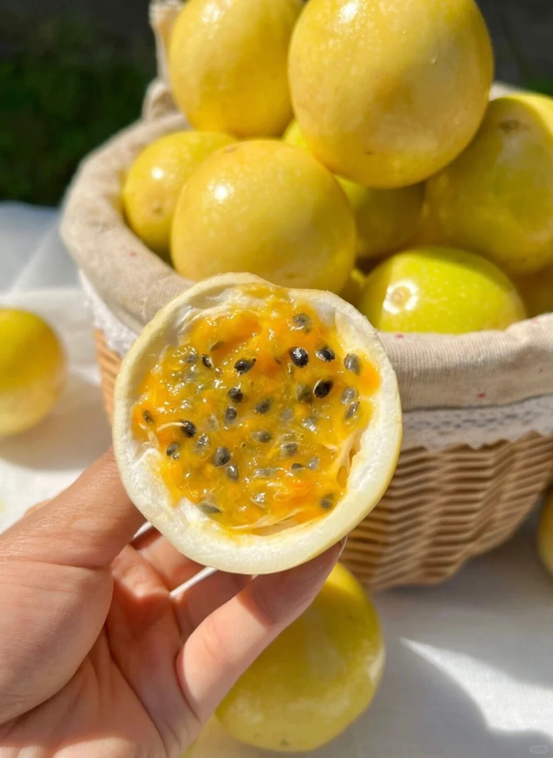 🌿 Graines de Fruit de la Passion - Votre Explosion Tropicale Maison