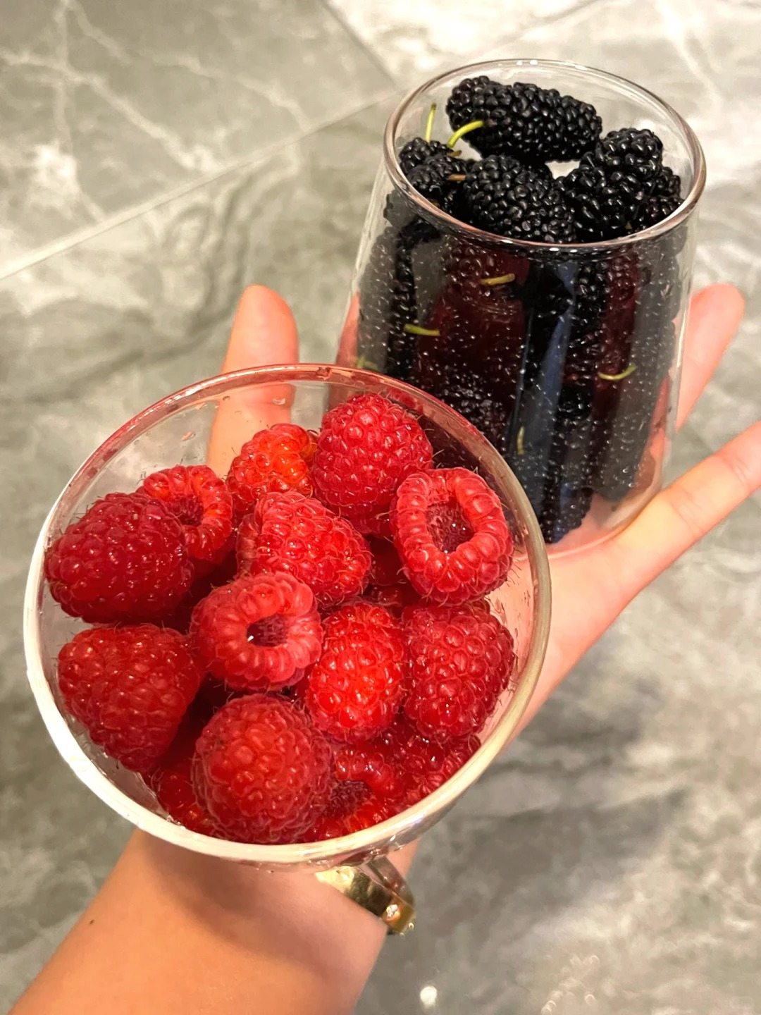 La Perle Écarlate des Jardins Français