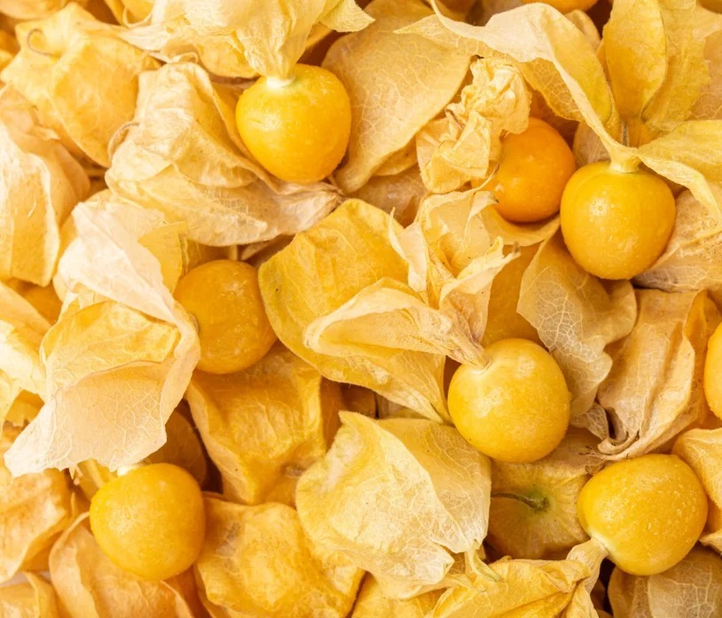 🍒Fruit rare🍒 Graines de cerises en coque bio