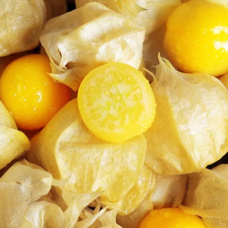 🍒Fruit rare🍒 Graines de cerises en coque bio