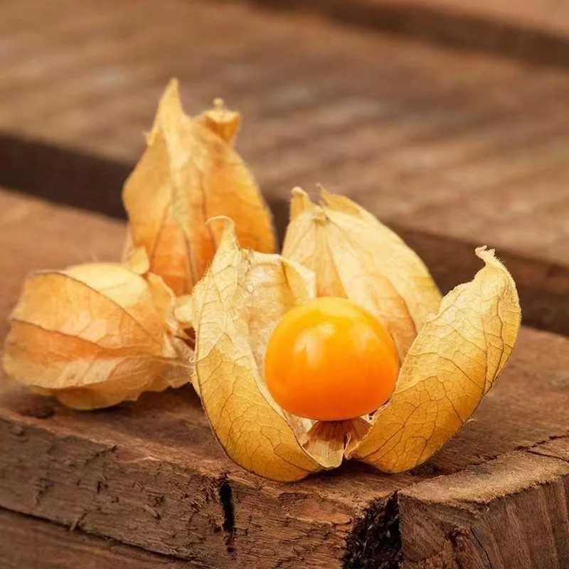 🍒Fruit rare🍒 Graines de cerises en coque bio