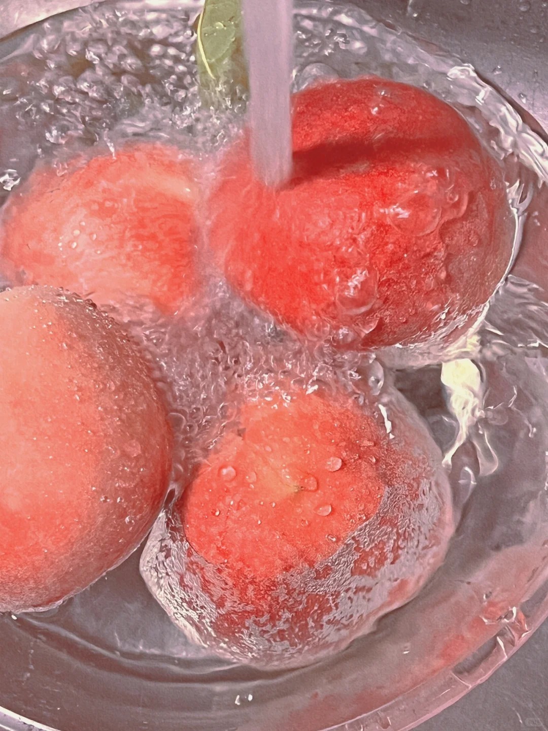 🍑 Graines de Pêcher - La Douceur du Sud dans Votre Jardin