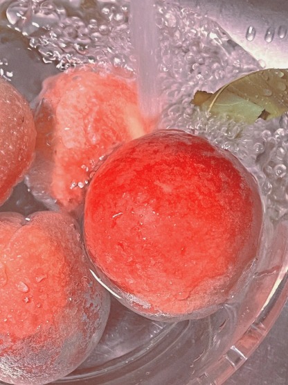 🍑 Graines de Pêcher - La Douceur du Sud dans Votre Jardin