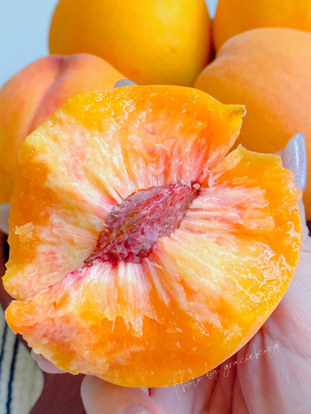 🍑 Graines de Pêcher - La Douceur du Sud dans Votre Jardin