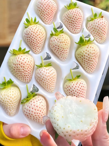 La Perle Blanche des Jardins Français