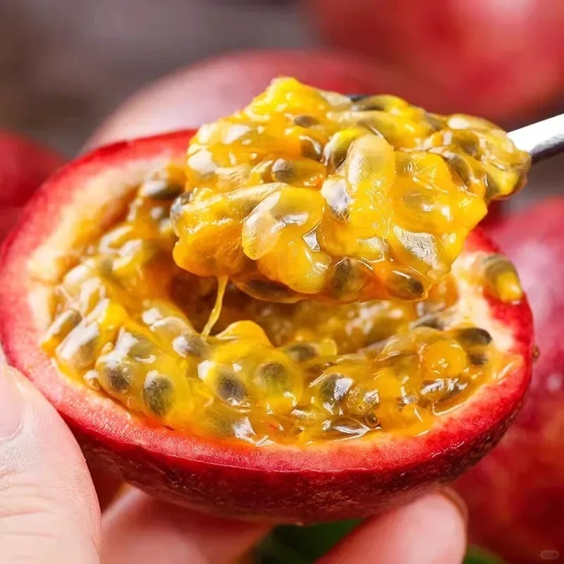 🌿 Graines de Fruit de la Passion - Votre Explosion Tropicale Maison