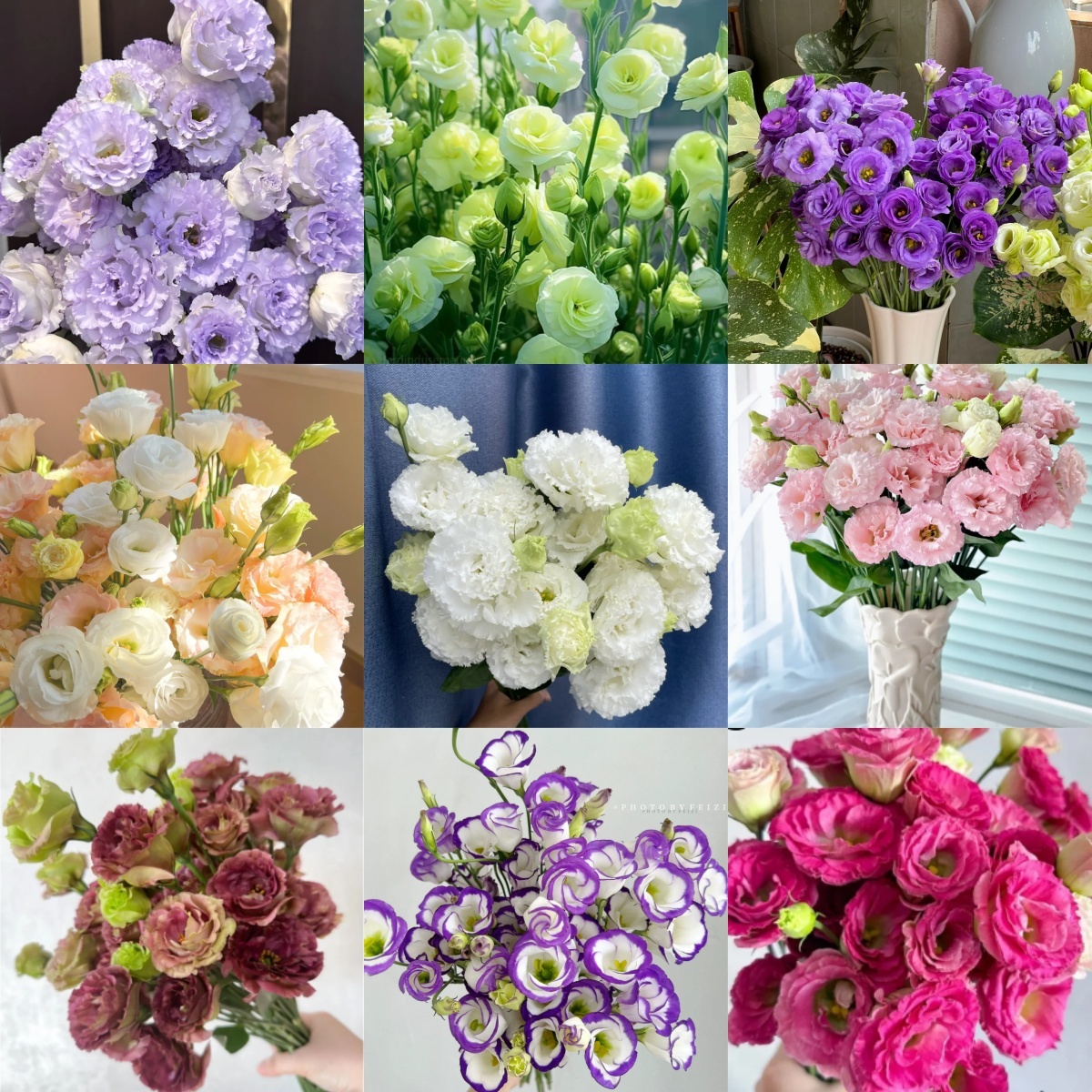 🔥50% de Réduction 🎁Lisianthus - Élégance Épanouie