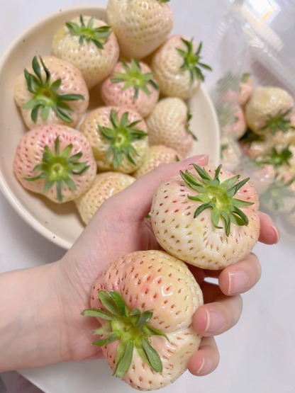 La Perle Blanche des Jardins Français