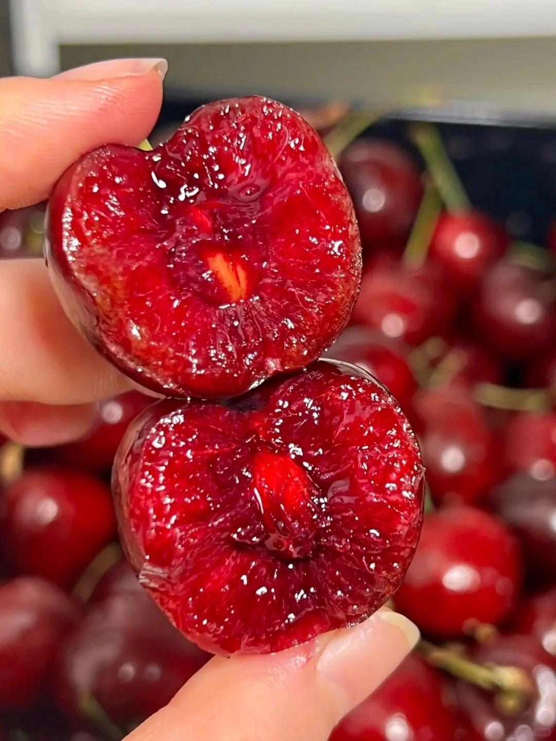 🍒🌳 Cherry potted seeds🌱