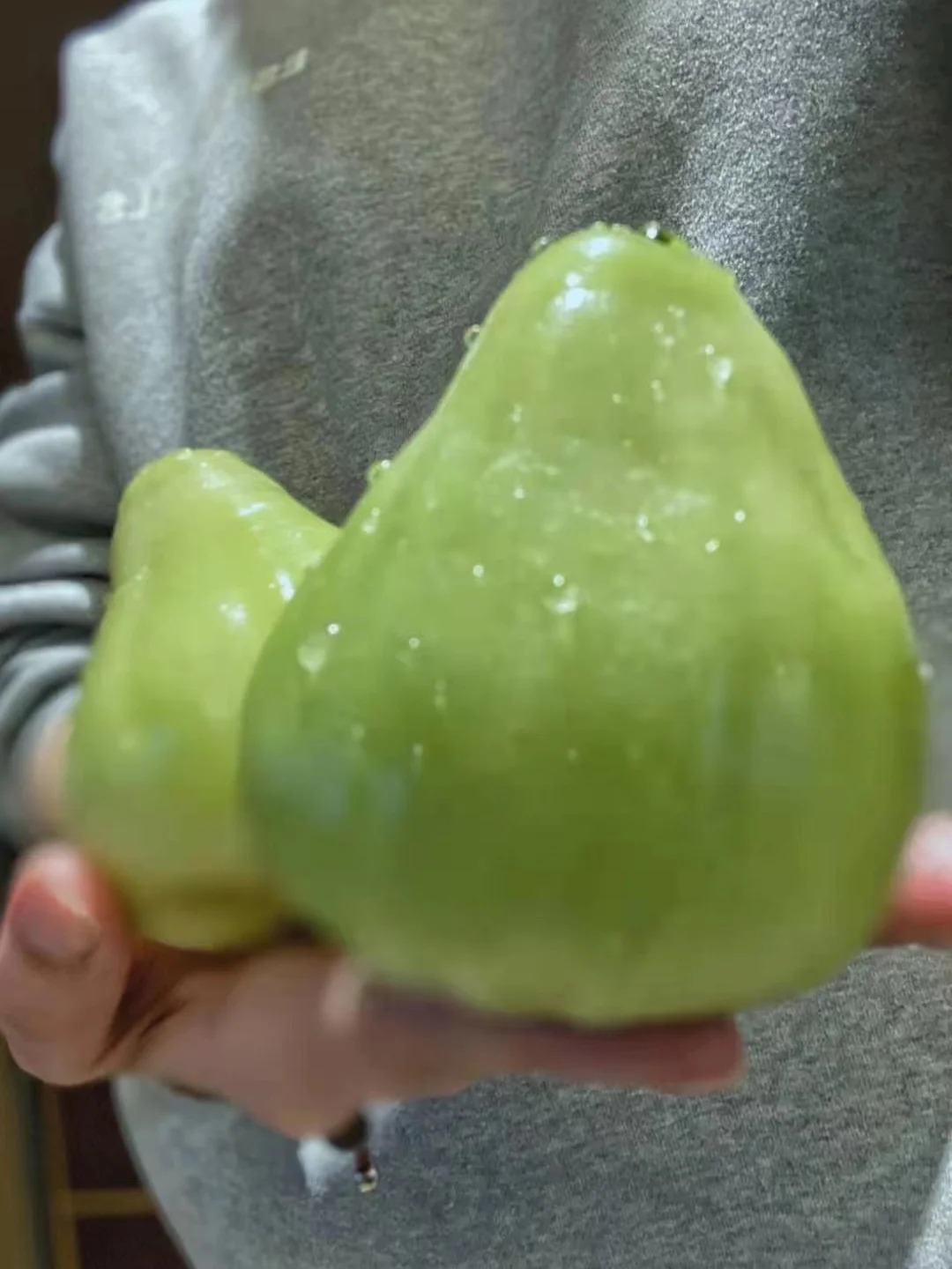 🌸 Graines de Jambose (Pomme Rose) - L'Exotisme à Portée de Main