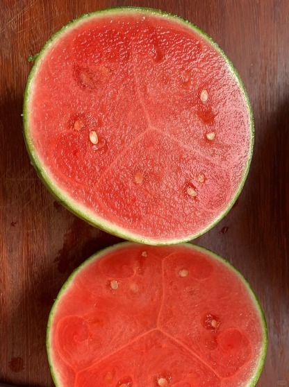 🔥 50% de Réduction 🎁Les graines de pastèque pour balcon