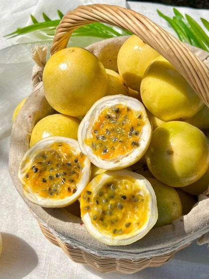 🌟🌱Graines Premium de Fruit de la Passion Doré