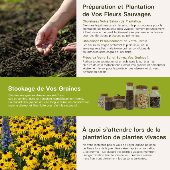  Rabais de temps limité 🔥 Graines de fleurs mélangées