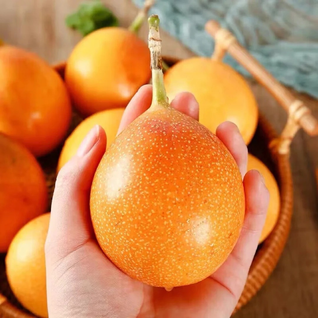 🔥50% de Réduction🎁🥭Graines de Fruit de la Passion Colombien🥭