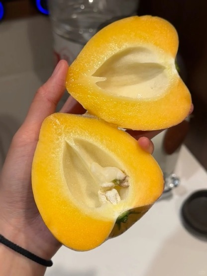 "Graines de Fruit du Moine Sacré 