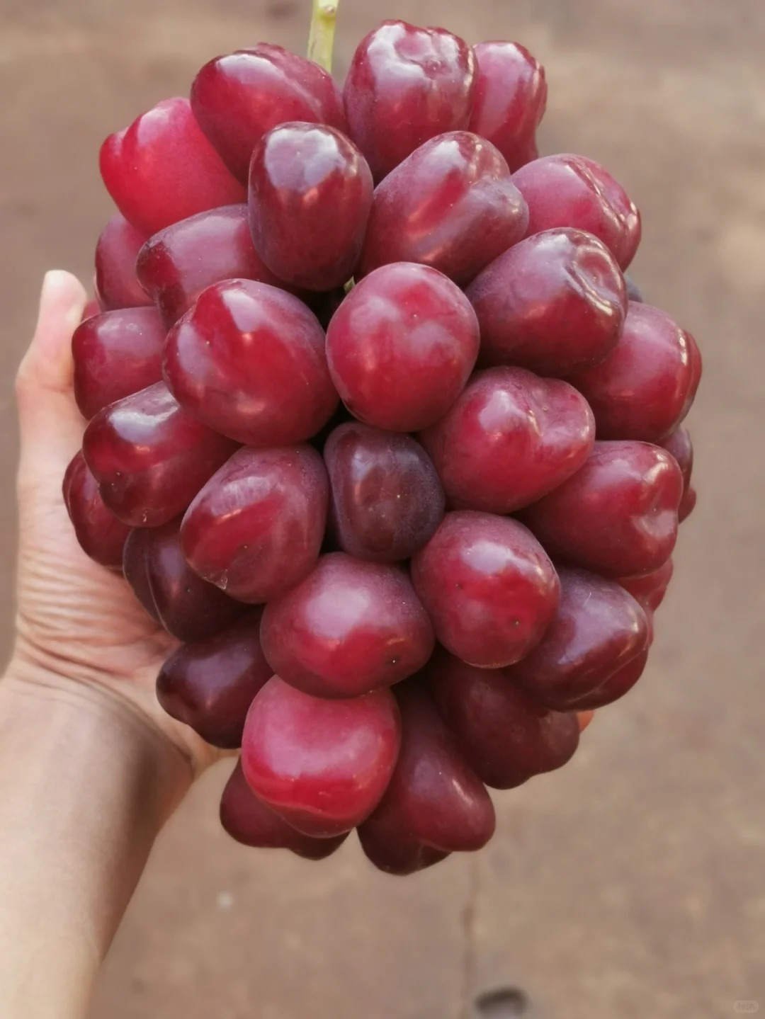 Raisins beauté romantique