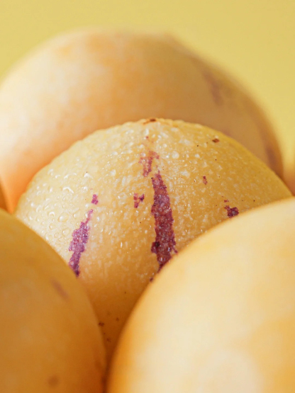 "Graines de Fruit du Moine Sacré 