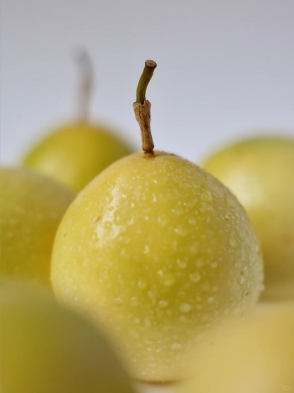 🌿 Graines de Fruit de la Passion - Votre Explosion Tropicale Maison