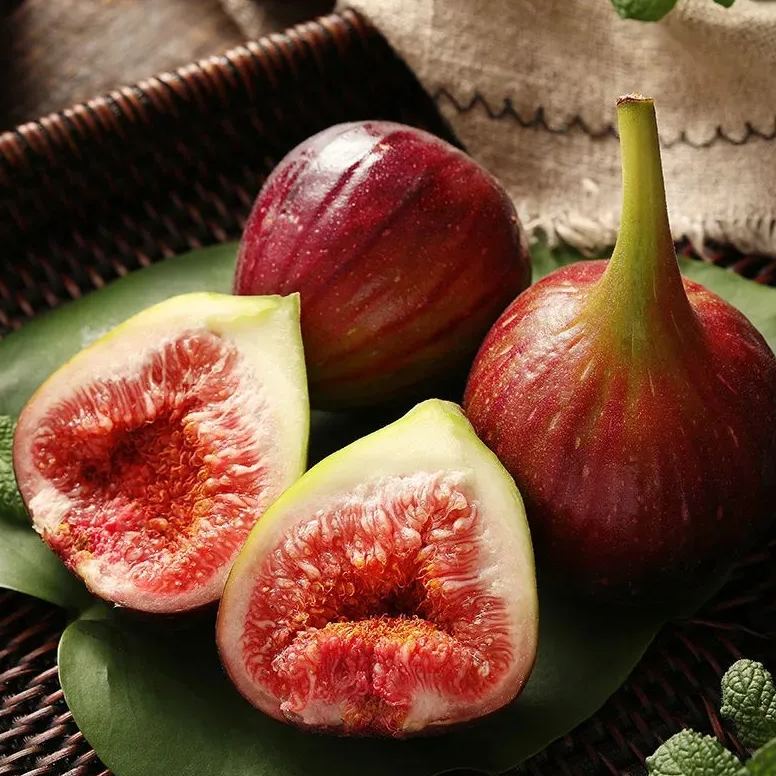 🔥Easy care🌈Giant Fig Seeds – Grow sweet, juicy figs!