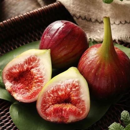 🔥Easy care🌈Giant Fig Seeds – Grow sweet, juicy figs!