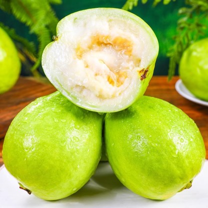 🔥Vente chaude🍏Graines de goyave en pot