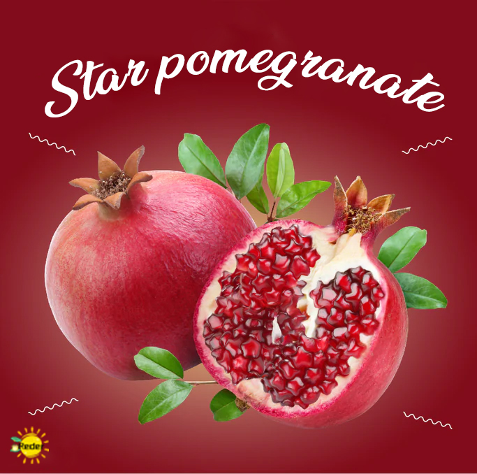 🌟 Graines de Grenade Étoilée : Cultivez la Magie Céleste dans Votre Jardin ! 🌟