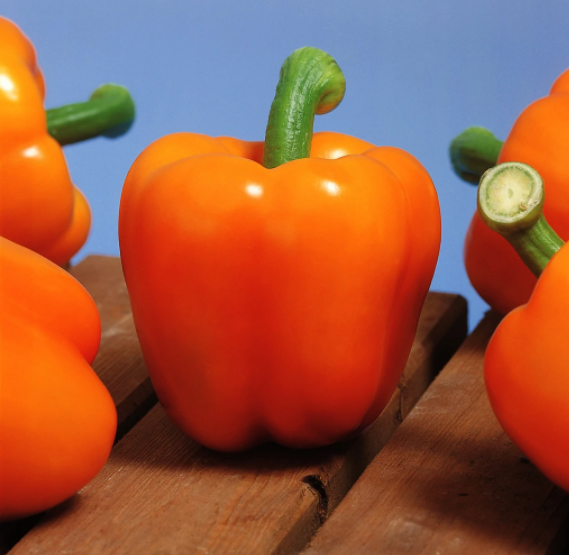 🌈 Bombe Nutritive Tricolore - Pack de Poivrons Rouge, Jaune & Orange