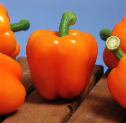 🌈 Bombe Nutritive Tricolore - Pack de Poivrons Rouge, Jaune & Orange