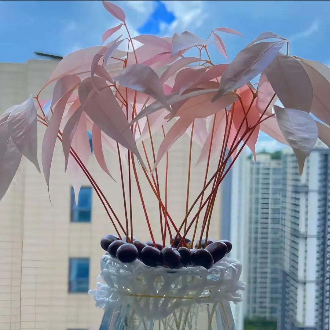 La Sculpture Vivante des Appartements Parisiens