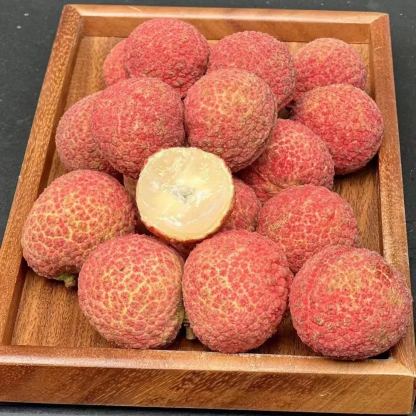 🌸 Plants de Litchi Sans Noyau - L'Excellence Ultime en Horticulture